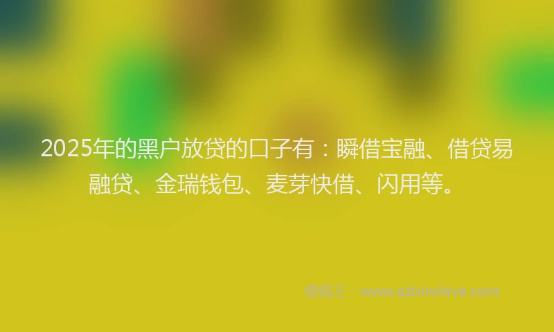 2025年的黑户放贷的口子有：瞬借宝融、借贷易融贷、金瑞钱包、麦芽快借、闪用等。