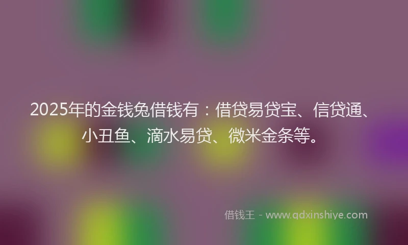 2025年的金钱兔借钱有：借贷易贷宝、信贷通、小丑鱼、滴水易贷、微米金条等。