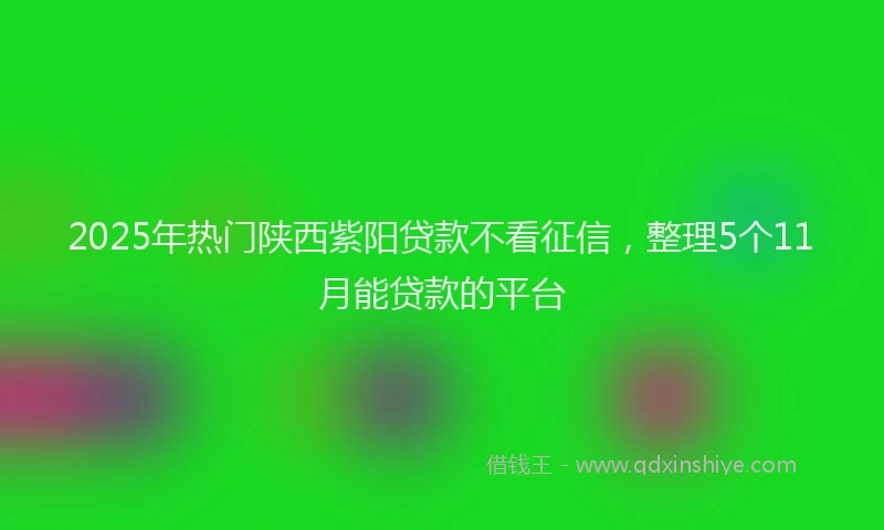 2025年热门陕西紫阳贷款不看征信，整理5个11月能贷款的平台