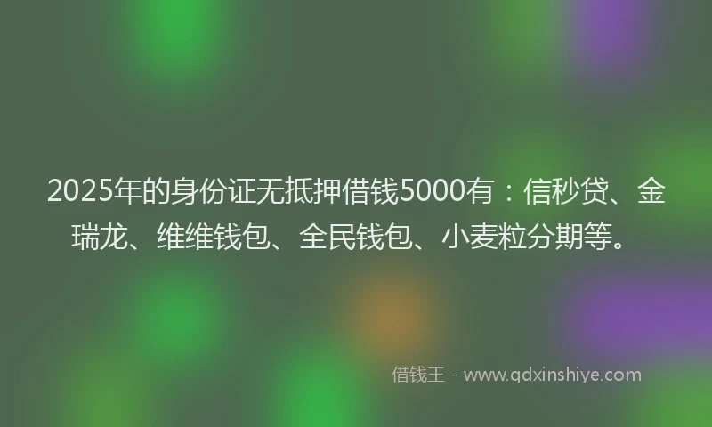 2025年的身份证无抵押借钱5000有：信秒贷、金瑞龙、维维钱包、全民钱包、小麦粒分期等。