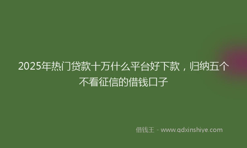 2025年热门贷款十万什么平台好下款，归纳五个不看征信的借钱口子