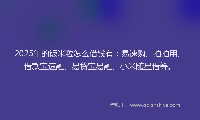 2025年的饭米粒怎么借钱有：易速购、拍拍用、借款宝速融、易贷宝易融、小米随星借等。