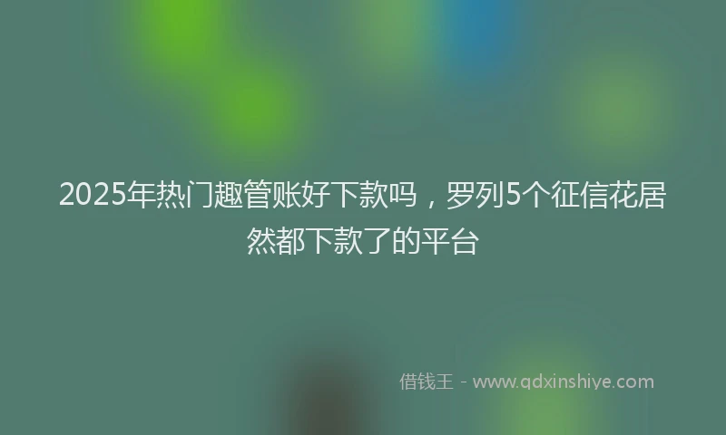 2025年热门趣管账好下款吗，罗列5个征信花居然都下款了的平台
