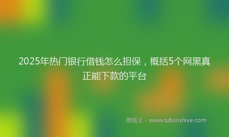2025年热门银行借钱怎么担保，概括5个网黑真正能下款的平台