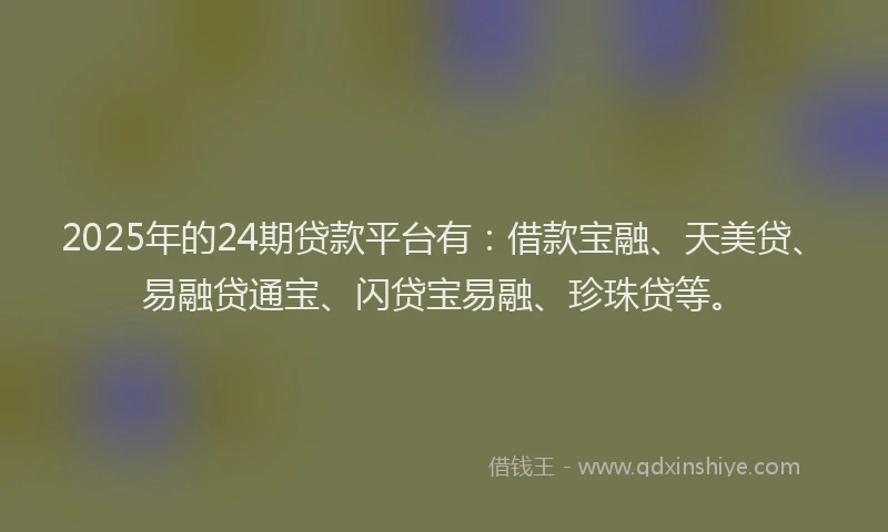 2025年的24期贷款平台有：借款宝融、天美贷、易融贷通宝、闪贷宝易融、珍珠贷等。