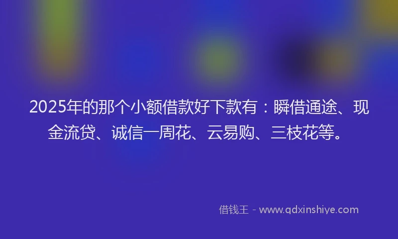 2025年的那个小额借款好下款有：瞬借通途、现金流贷、诚信一周花、云易购、三枝花等。