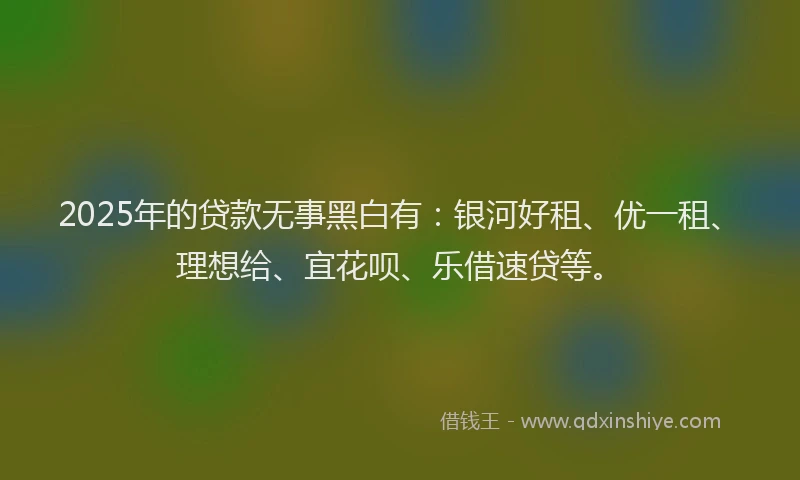 2025年的贷款无事黑白有：银河好租、优一租、理想给、宜花呗、乐借速贷等。