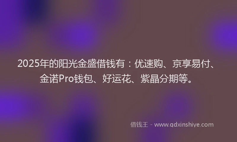 2025年的阳光金盛借钱有：优速购、京享易付、金诺Pro钱包、好运花、紫晶分期等。