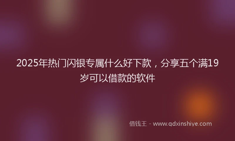 2025年热门闪银专属什么好下款，分享五个满19岁可以借款的软件