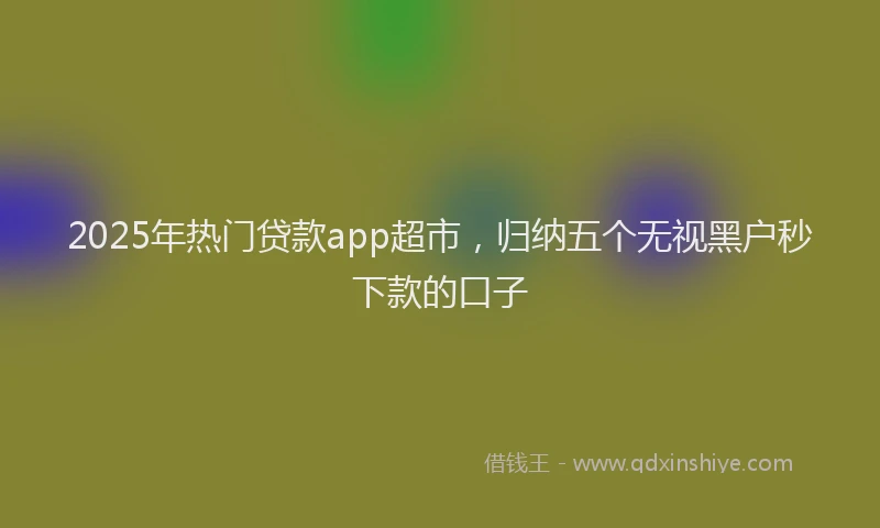 2025年热门贷款app超市，归纳五个无视黑户秒下款的口子
