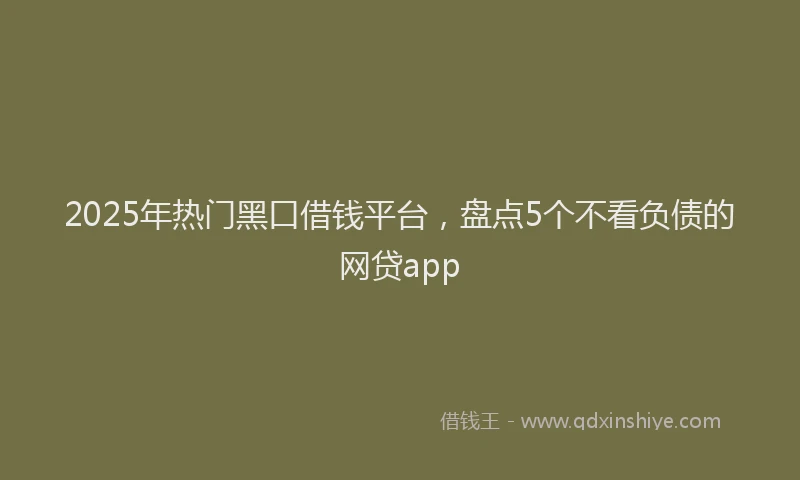 2025年热门黑口借钱平台，盘点5个不看负债的网贷app
