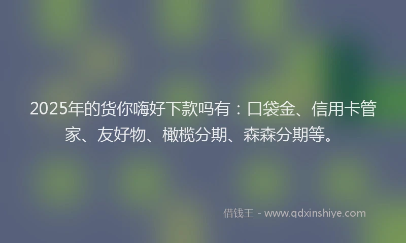 2025年的货你嗨好下款吗有：口袋金、信用卡管家、友好物、橄榄分期、森森分期等。