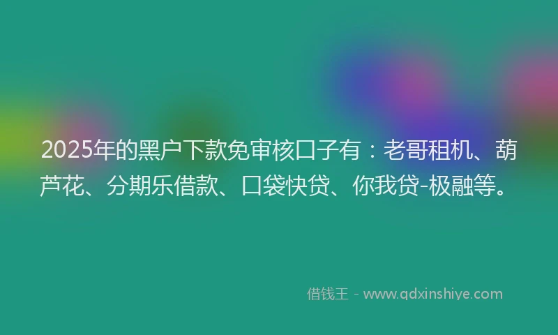 2025年的黑户下款免审核口子有：老哥租机、葫芦花、分期乐借款、口袋快贷、你我贷-极融等。