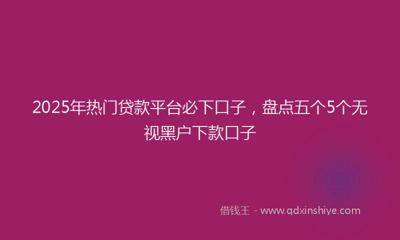 2025年热门贷款平台必下口子，盘点五个5个无视黑户下款口子