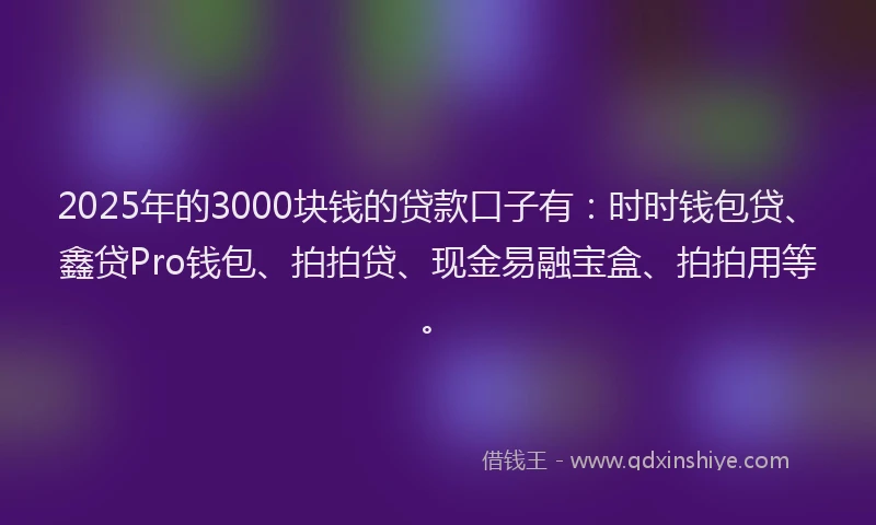 2025年的3000块钱的贷款口子有：时时钱包贷、鑫贷Pro钱包、拍拍贷、现金易融宝盒、拍拍用等。