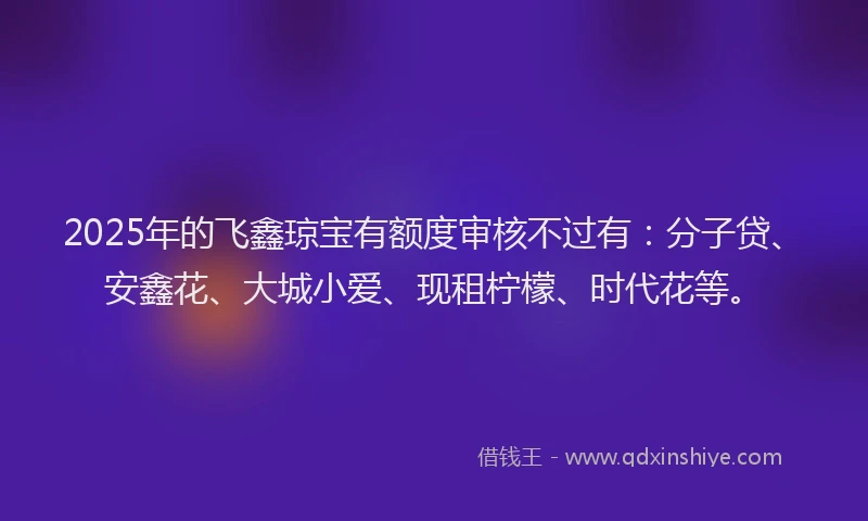 2025年的飞鑫琼宝有额度审核不过有：分子贷、安鑫花、大城小爱、现租柠檬、时代花等。