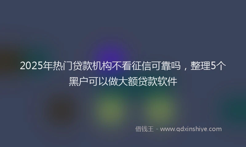 2025年热门贷款机构不看征信可靠吗，整理5个黑户可以做大额贷款软件