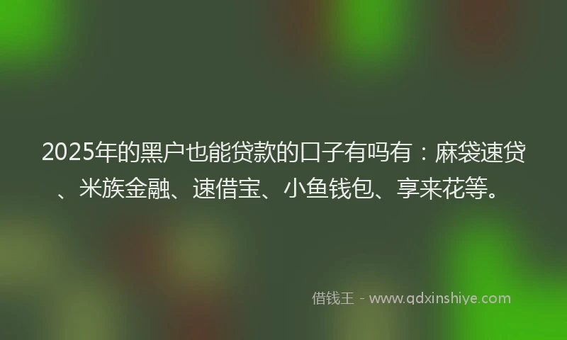 2025年的黑户也能贷款的口子有吗有：麻袋速贷、米族金融、速借宝、小鱼钱包、享来花等。