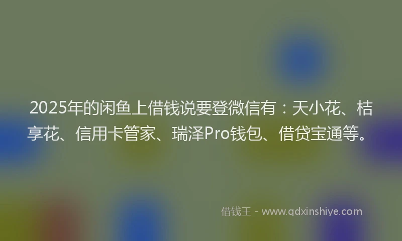 2025年的闲鱼上借钱说要登微信有：天小花、桔享花、信用卡管家、瑞泽Pro钱包、借贷宝通等。