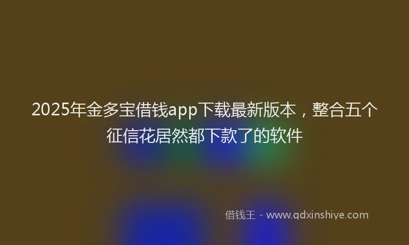 2025年金多宝借钱app下载最新版本，整合五个征信花居然都下款了的软件