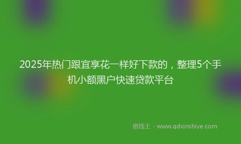 2025年热门跟宜享花一样好下款的，整理5个手机小额黑户快速贷款平台