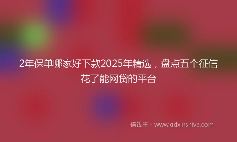 2年保单哪家好下款2025年精选，盘点五个征信花了能网贷的平台