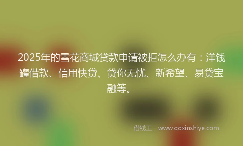 2025年的雪花商城贷款申请被拒怎么办有：洋钱罐借款、信用快贷、贷你无忧、新希望、易贷宝融等。