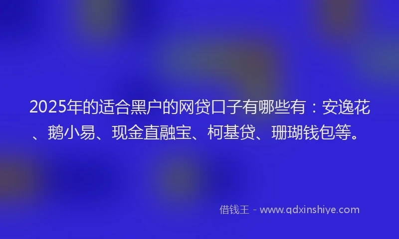 2025年的适合黑户的网贷口子有哪些有：安逸花、鹅小易、现金直融宝、柯基贷、珊瑚钱包等。