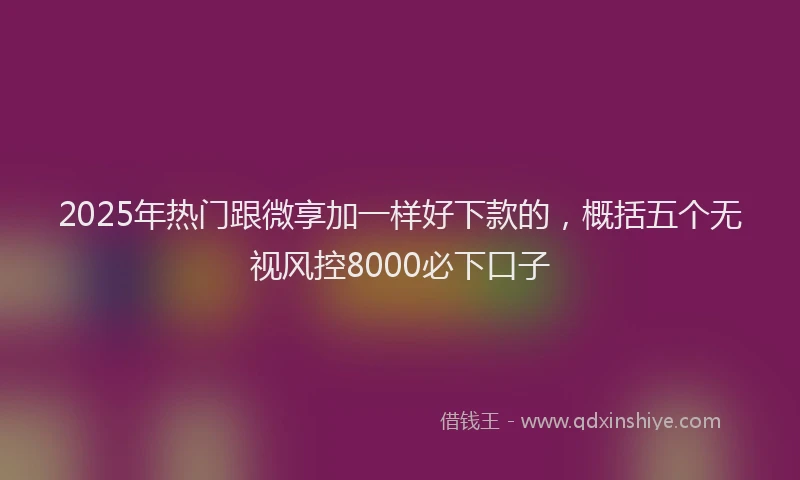 2025年热门跟微享加一样好下款的，概括五个无视风控8000必下口子