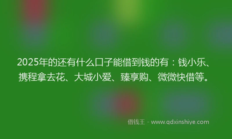 2025年的还有什么口子能借到钱的有：钱小乐、携程拿去花、大城小爱、臻享购、微微快借等。