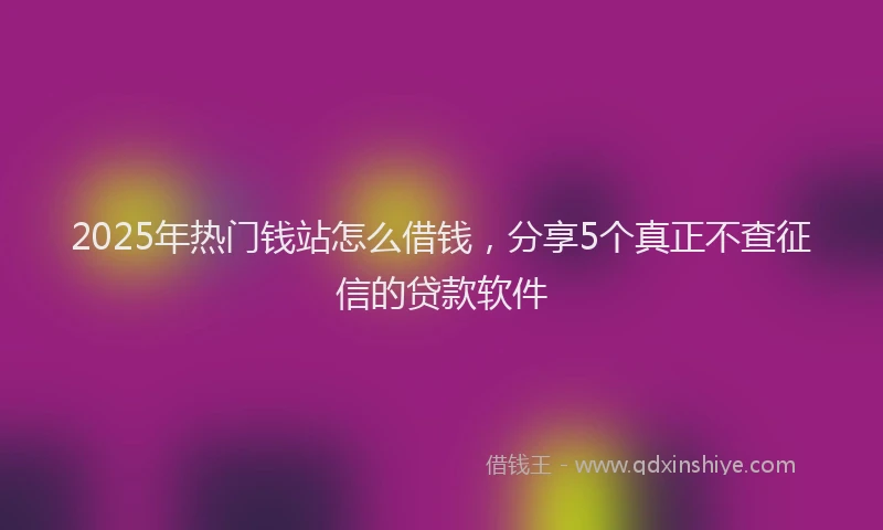 2025年热门钱站怎么借钱，分享5个真正不查征信的贷款软件