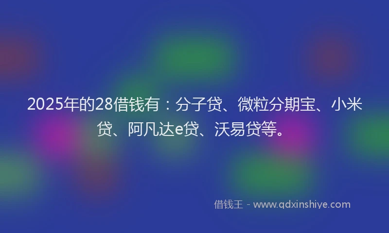 2025年的28借钱有：分子贷、微粒分期宝、小米贷、阿凡达e贷、沃易贷等。