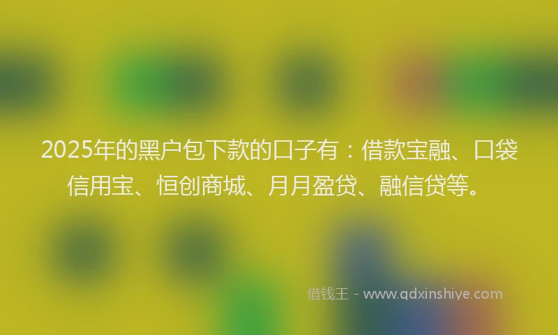 2025年的黑户包下款的口子有：借款宝融、口袋信用宝、恒创商城、月月盈贷、融信贷等。