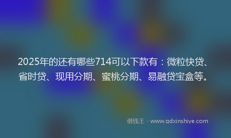 2025年的还有哪些714可以下款有：微粒快贷、省时贷、现用分期、蜜桃分期、易融贷宝盒等。