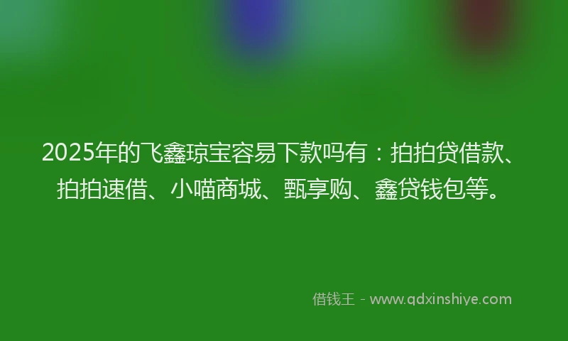 2025年的飞鑫琼宝容易下款吗有：拍拍贷借款、拍拍速借、小喵商城、甄享购、鑫贷钱包等。