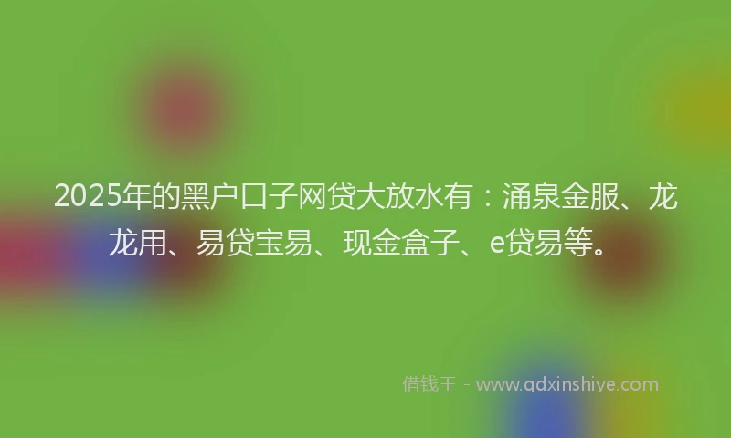 2025年的黑户口子网贷大放水有：涌泉金服、龙龙用、易贷宝易、现金盒子、e贷易等。