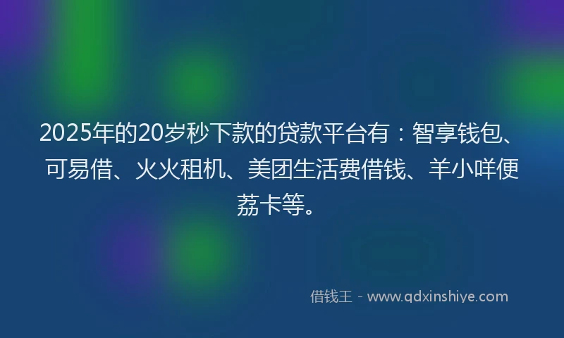 2025年的20岁秒下款的贷款平台有：智享钱包、可易借、火火租机、美团生活费借钱、羊小咩便荔卡等。
