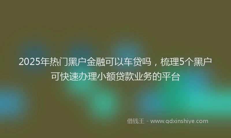 2025年热门黑户金融可以车贷吗，梳理5个黑户可快速办理小额贷款业务的平台