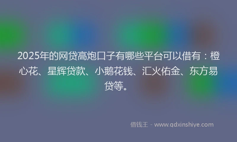 2025年的网贷高炮口子有哪些平台可以借有：橙心花、星辉贷款、小鹅花钱、汇火佑金、东方易贷等。