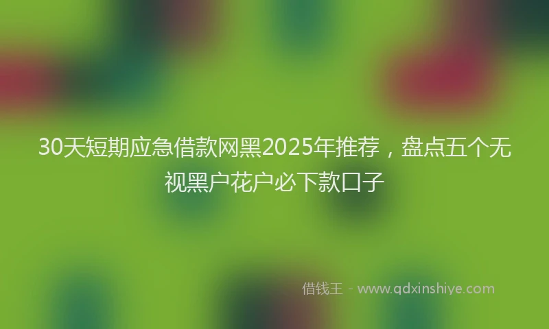 30天短期应急借款网黑2025年推荐，盘点五个无视黑户花户必下款口子