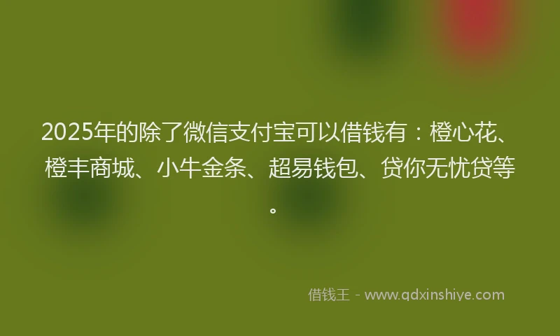2025年的除了微信支付宝可以借钱有：橙心花、橙丰商城、小牛金条、超易钱包、贷你无忧贷等。