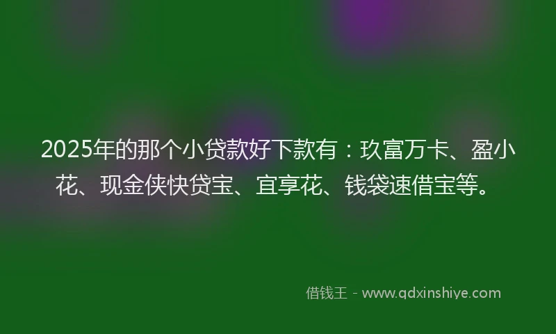 2025年的那个小贷款好下款有：玖富万卡、盈小花、现金侠快贷宝、宜享花、钱袋速借宝等。