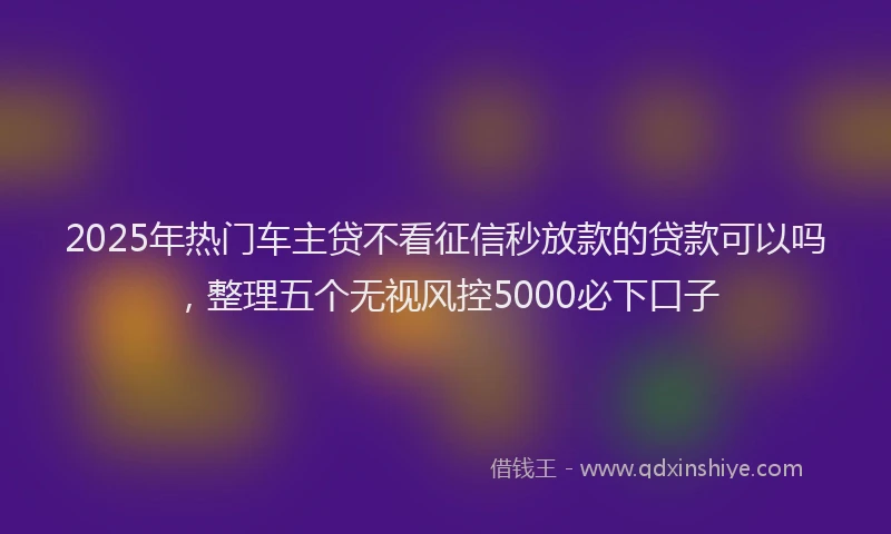2025年热门车主贷不看征信秒放款的贷款可以吗，整理五个无视风控5000必下口子