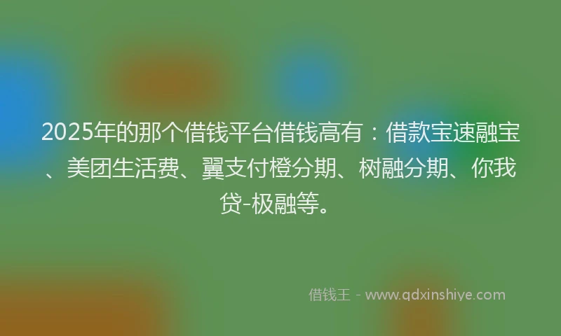 2025年的那个借钱平台借钱高有：借款宝速融宝、美团生活费、翼支付橙分期、树融分期、你我贷-极融等。