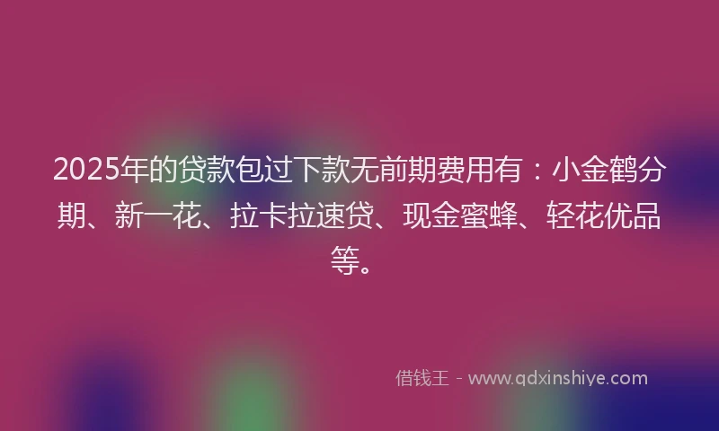 2025年的贷款包过下款无前期费用有：小金鹤分期、新一花、拉卡拉速贷、现金蜜蜂、轻花优品等。