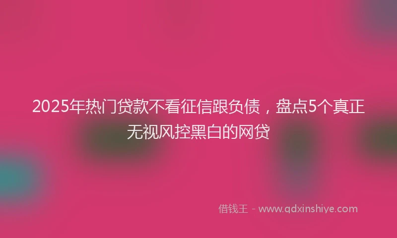 2025年热门贷款不看征信跟负债，盘点5个真正无视风控黑白的网贷