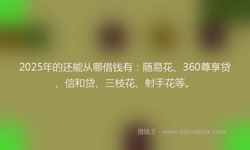 2025年的还能从哪借钱有：随易花、360尊享贷、信和贷、三枝花、射手花等。