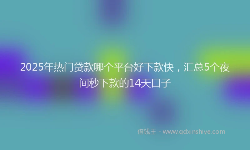 2025年热门贷款哪个平台好下款快，汇总5个夜间秒下款的14天口子