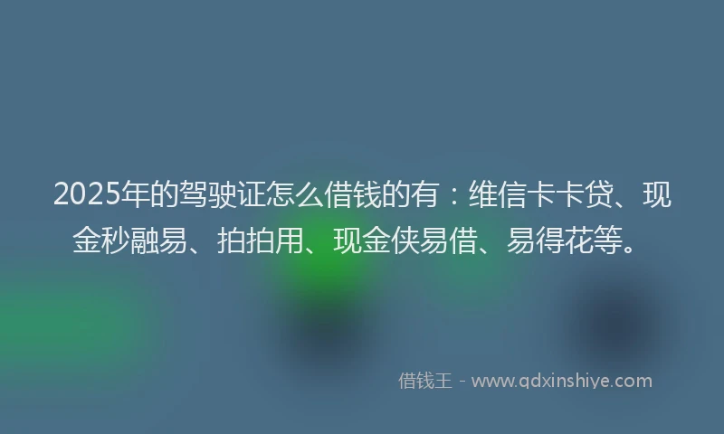 2025年的驾驶证怎么借钱的有：维信卡卡贷、现金秒融易、拍拍用、现金侠易借、易得花等。