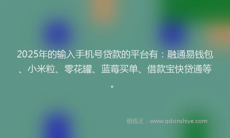 2025年的输入手机号贷款的平台有：融通易钱包、小米粒、零花罐、蓝莓买单、借款宝快贷通等。